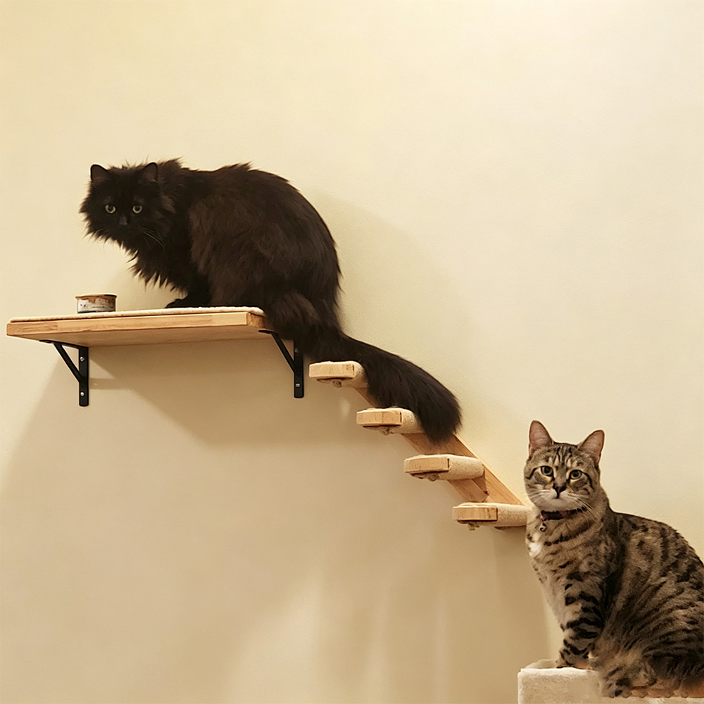 Katzenmöbel Massivholz-Hängebr – Furniture Paradise & Hardware Ghaziabad Photos Bewertung und Preis